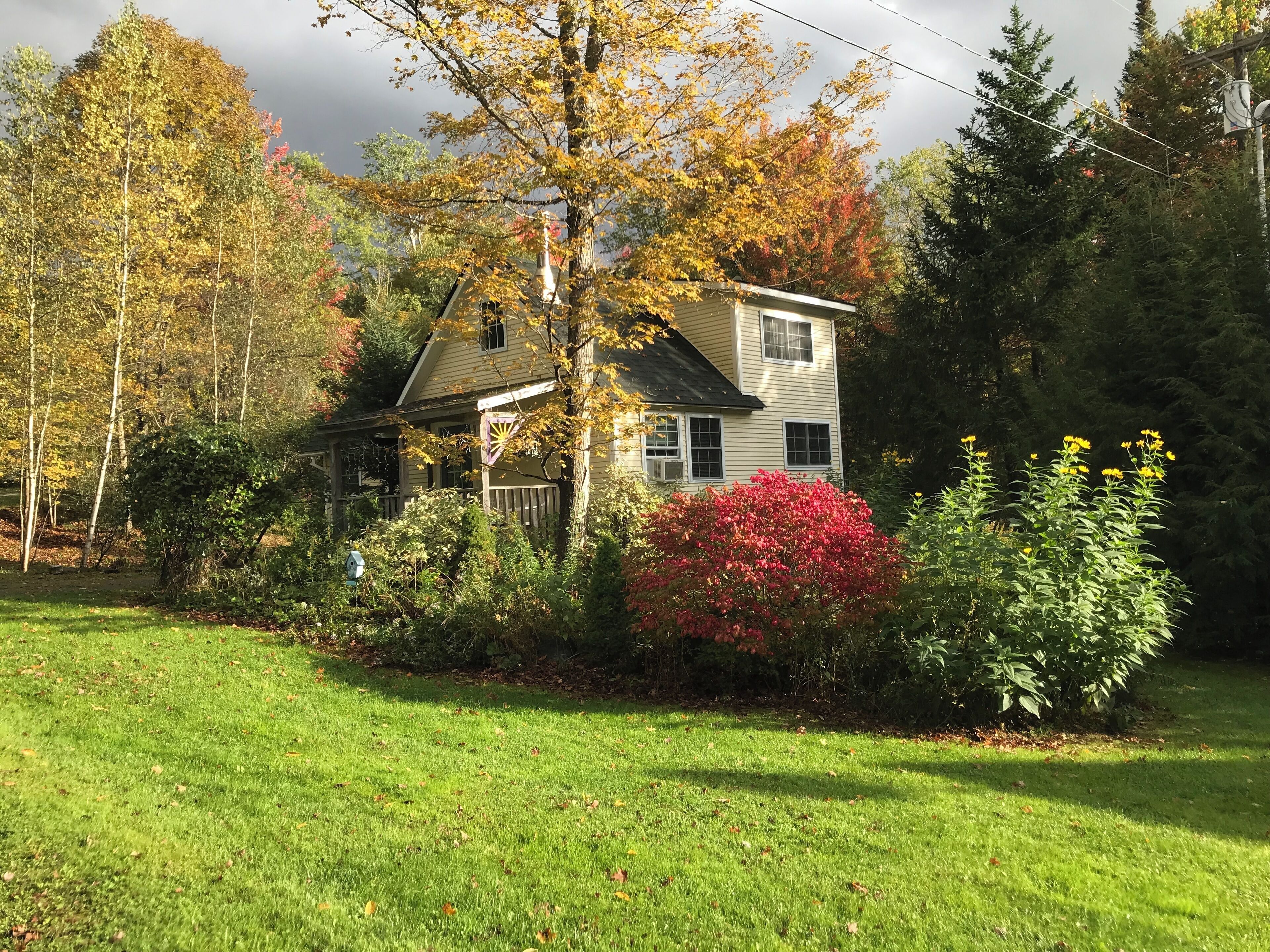 All Season Vacation Cottage, Short Drive to Downhill & Cross Country Skiing