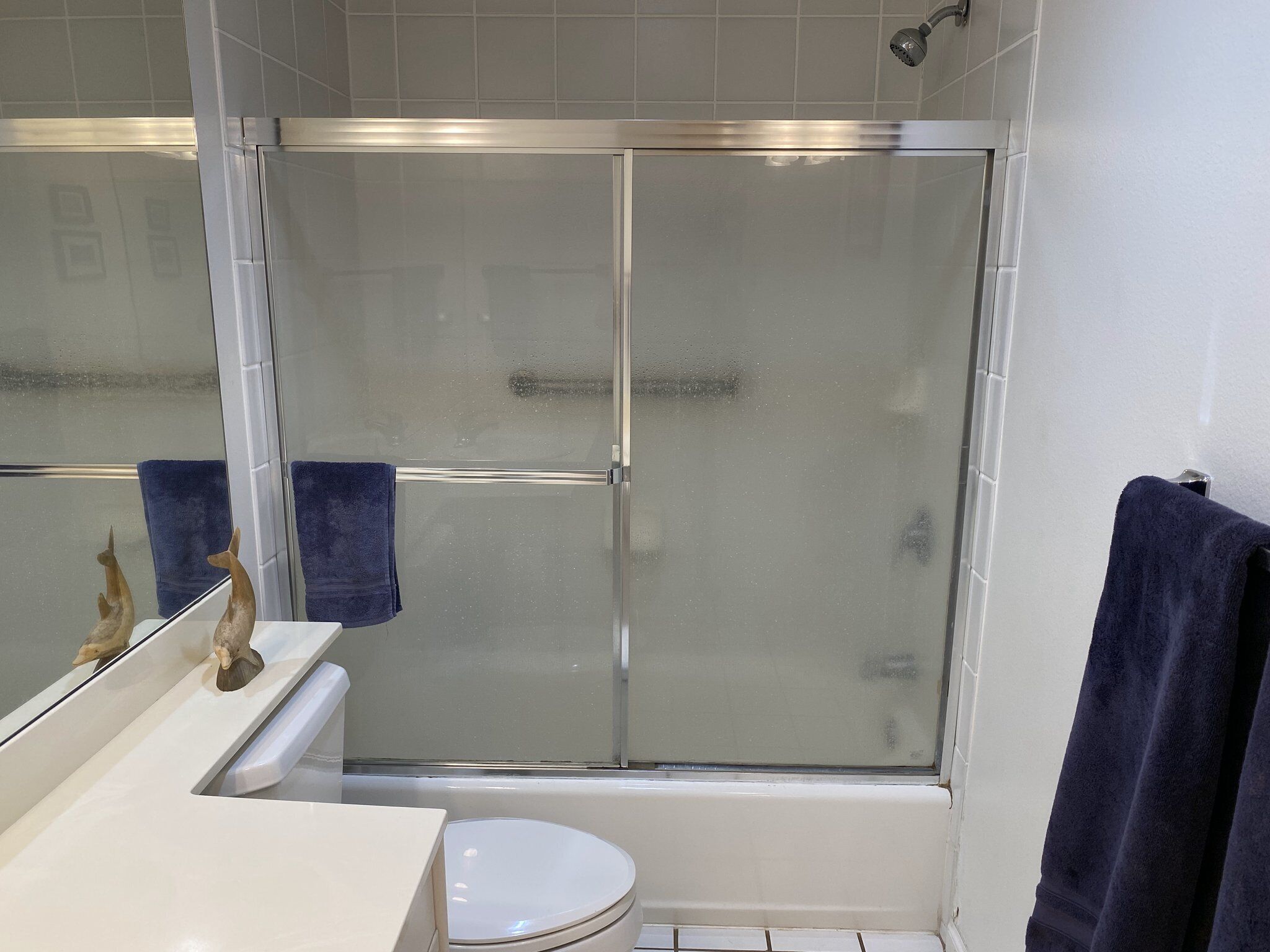 Combined shower/tub, hair dryer, towels, toilet paper