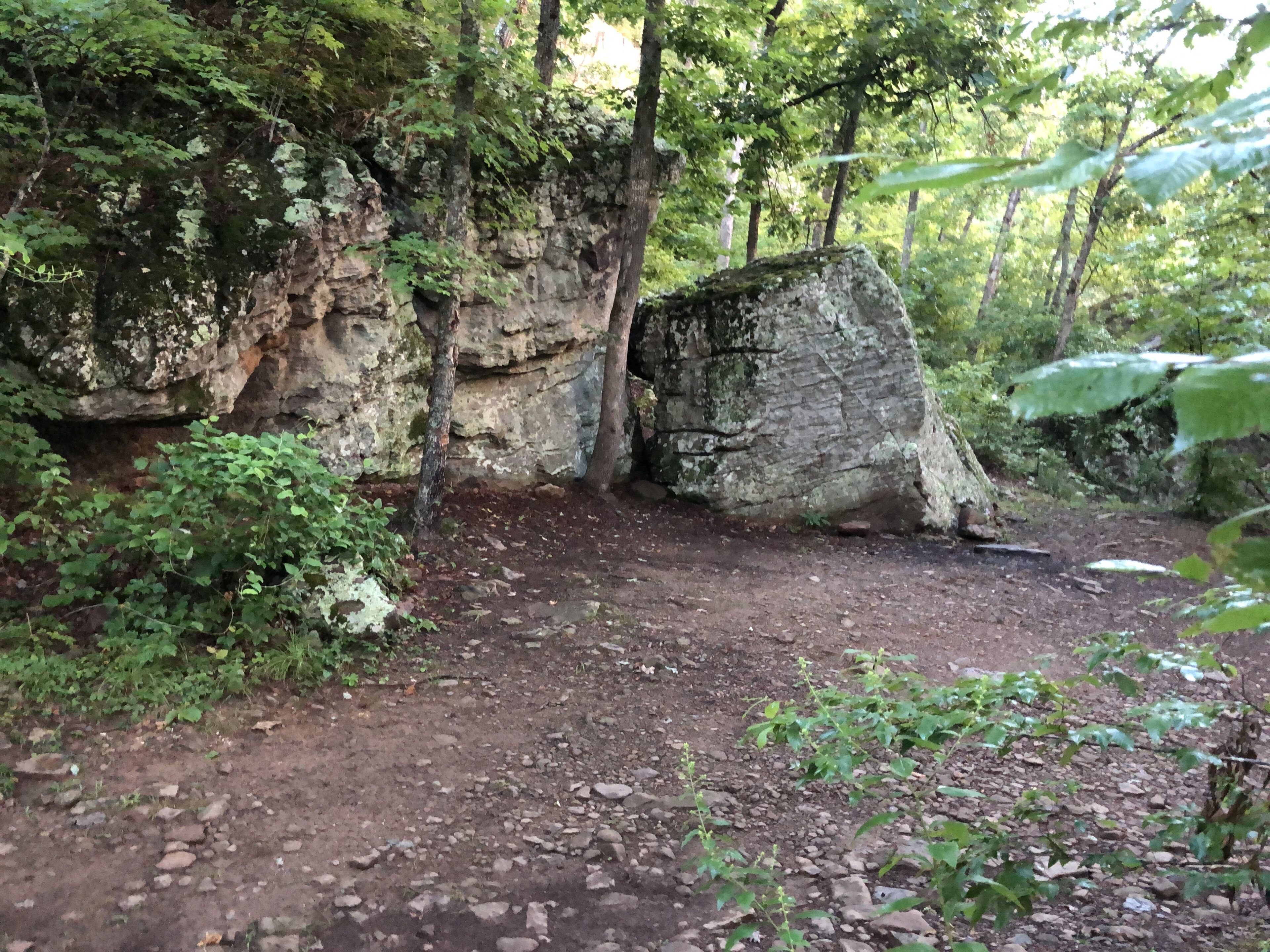 A rocky terrain with a dirt path surrounded by dense greenery and trees.