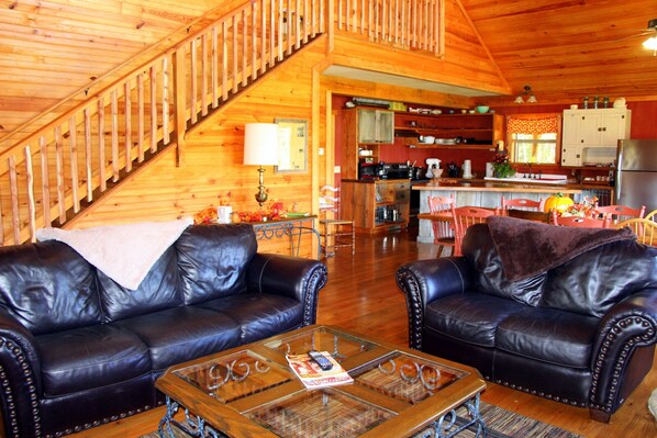 TV, lareira, DVD player, videoteca