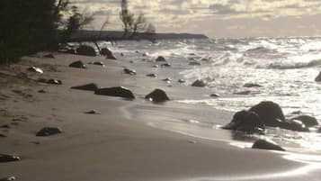 Plage, chaises longues, serviettes de plage