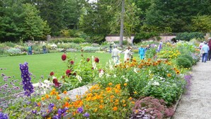 Ein Garten mit verschiedenen Blumen und einem Weg.