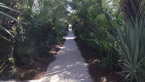 A paved pathway flanked by dense foliage, leading to a distant structure. - Stunning five bedroom home with private pool, just steps from the beach! (Panama City Beach)