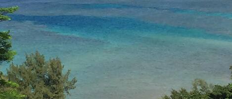 Sun-loungers, beach towels