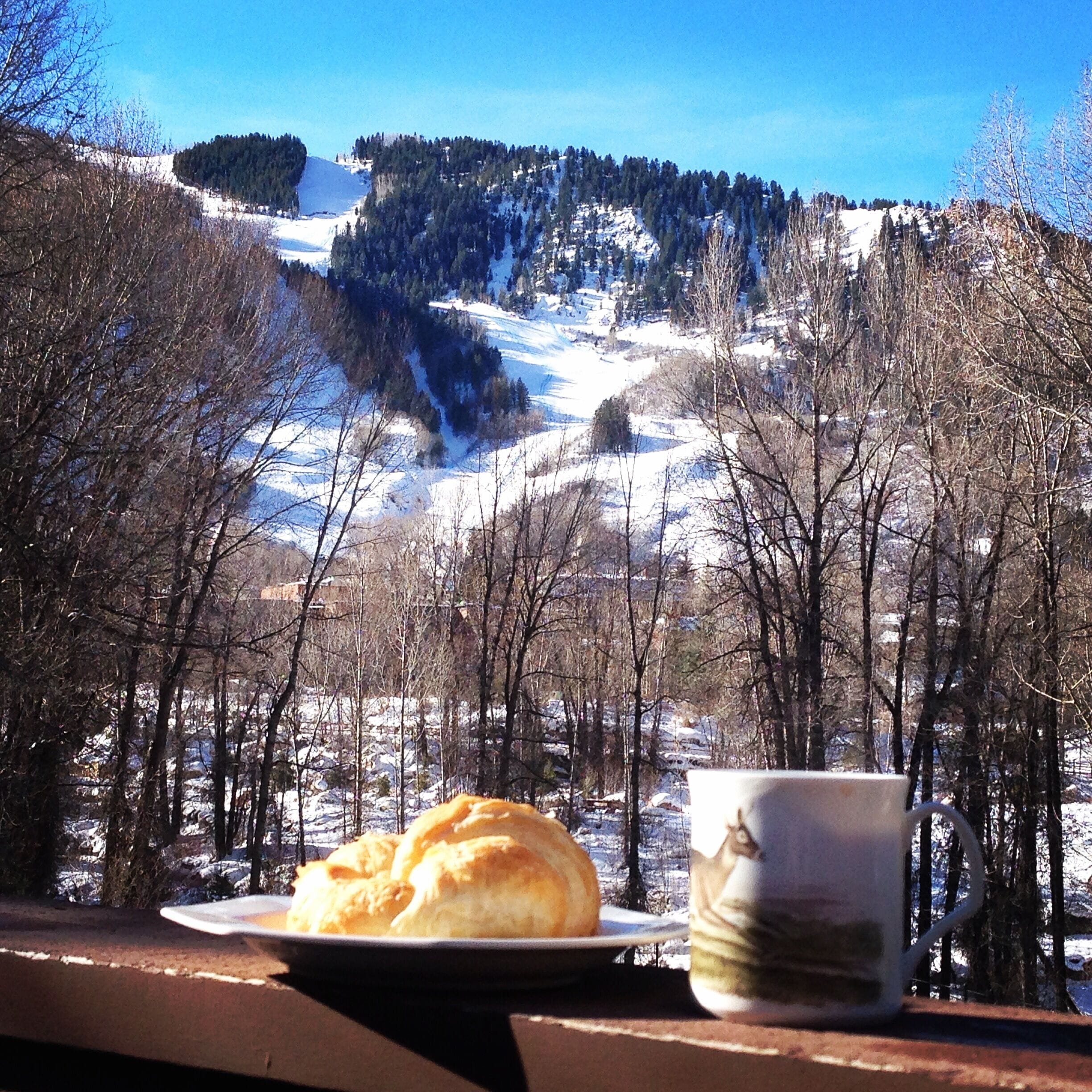 A scenic view of a snowy landscape with bare trees and a distant mountain range.