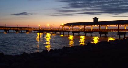 1BR pohjakerroksen huoneisto seulotulla kuistilla! Askeleen päässä uima-altaalta!