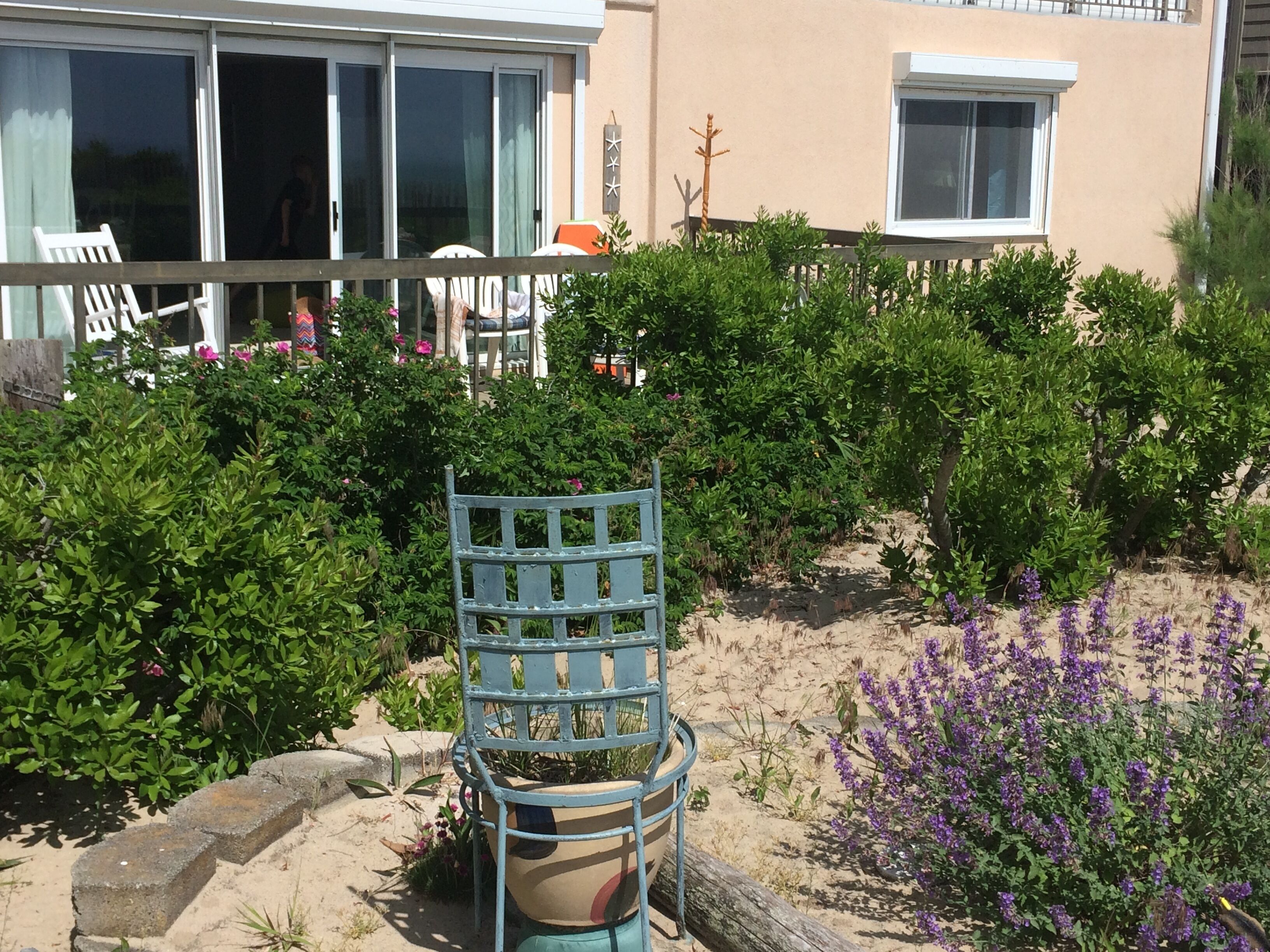Ein Garten mit blauem Stuhl, einem Blumentopf und einem Gebäude mit Balkon im Hintergrund.