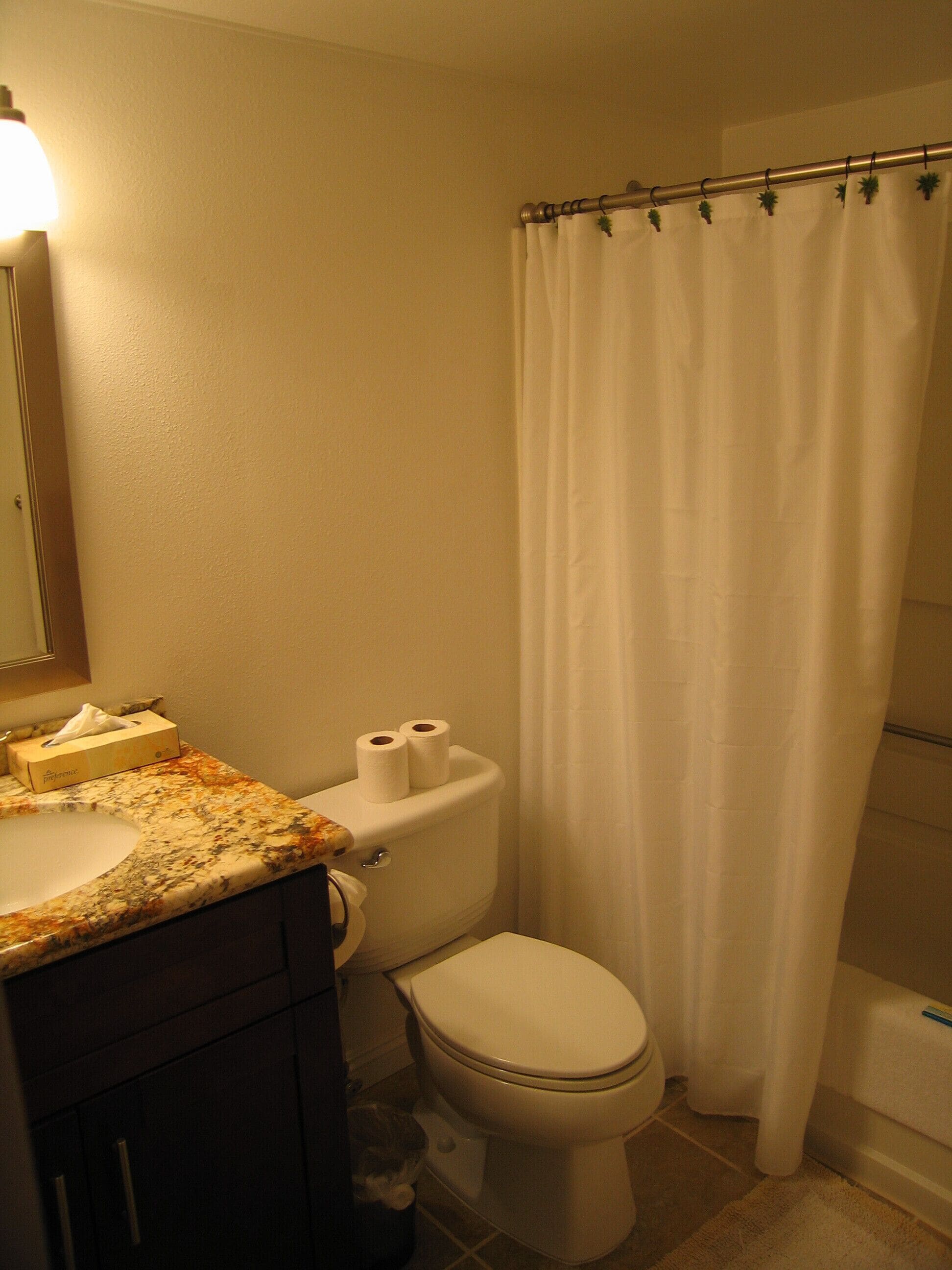 Combined shower/tub, hair dryer, towels, soap