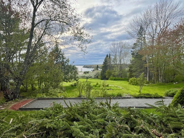 Terrain de l’hébergement 