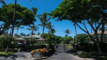 A gated entrance to a residential area with palm trees and houses.