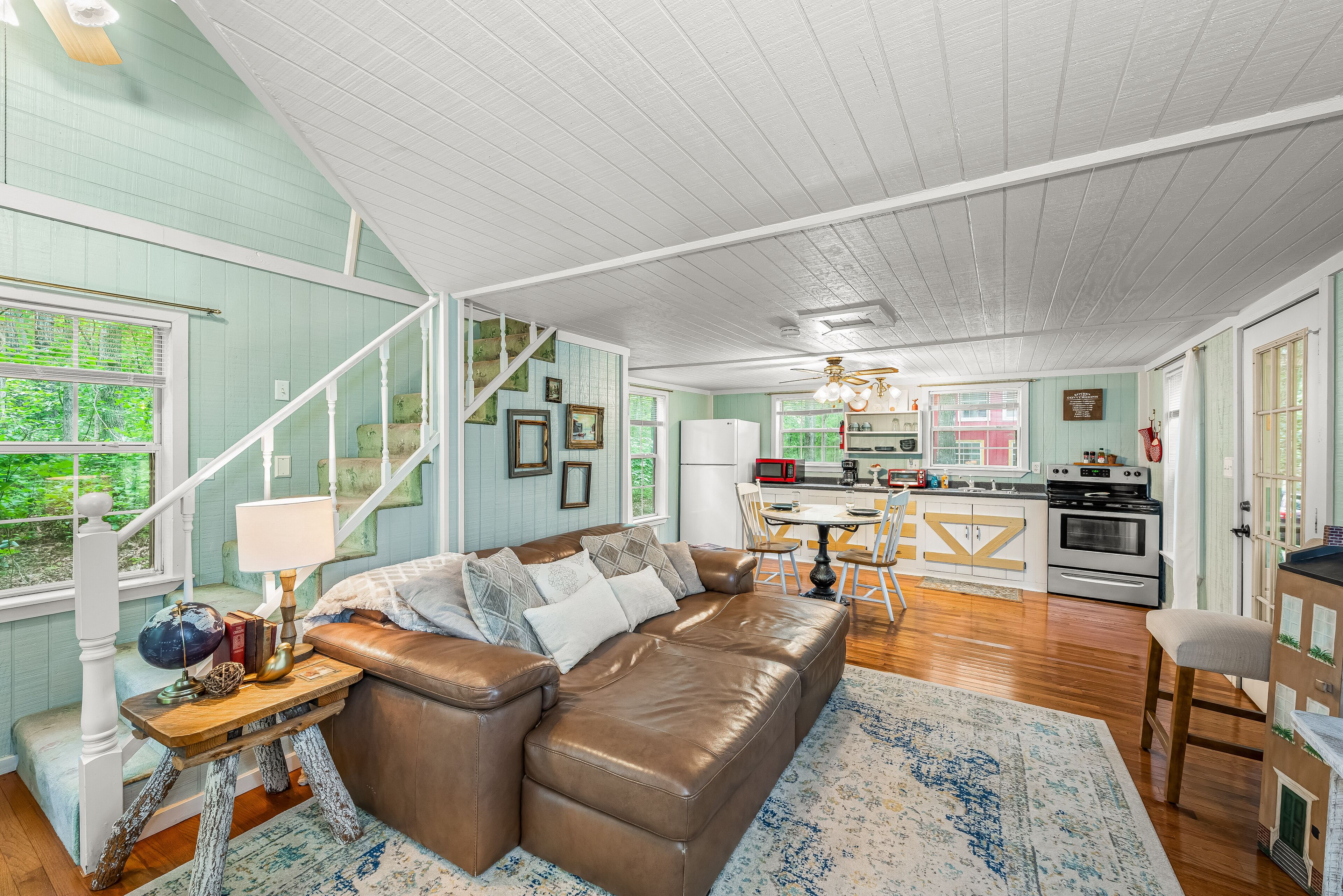 TV, DVD player, books, video library