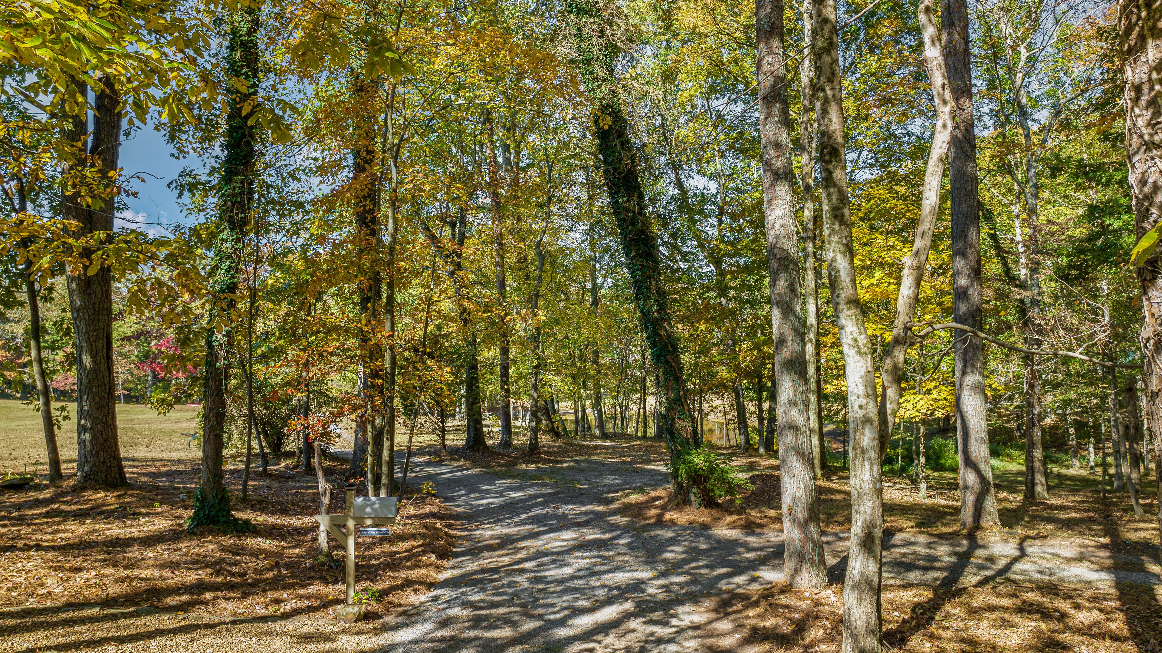 Une zone boisée avec un sentier aménagé et un panneau indiquant « VUE SUR LA MONTAGNE ».