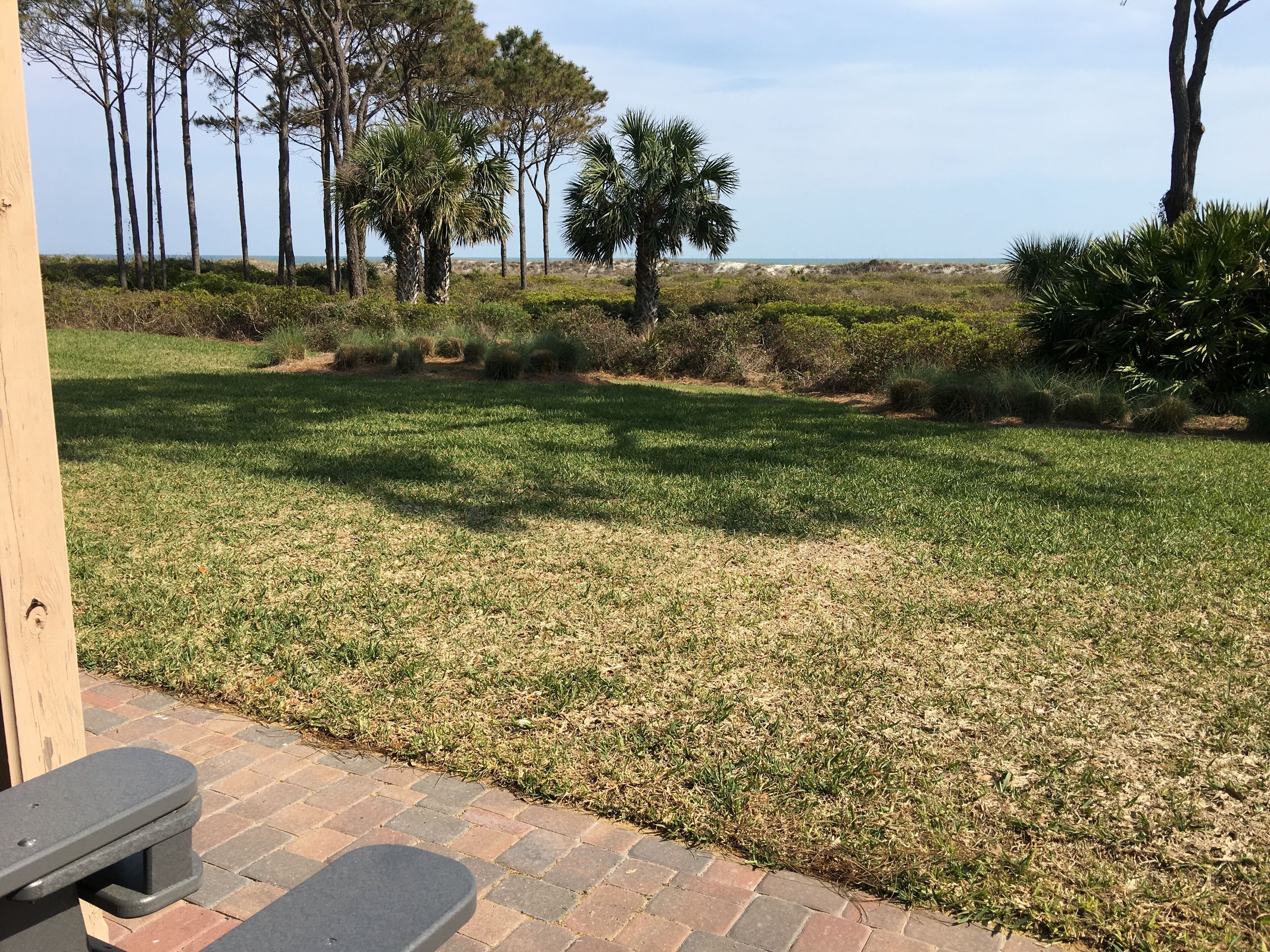A grassy area with trees and a bench.