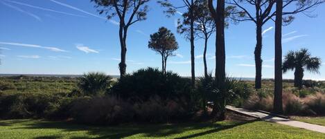 A grassy area with trees and a clear sky.