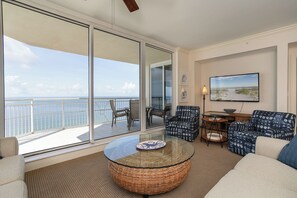 TV, fireplace, books