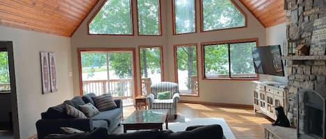 Télévision, cheminée, jeux vidéo, lecteur de DVD