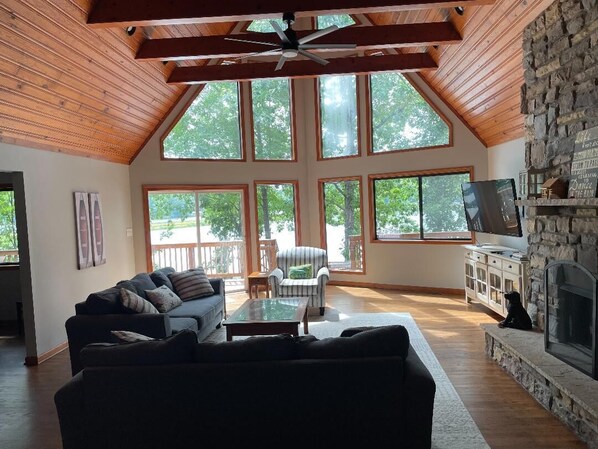 TV, fireplace, video games, DVD player