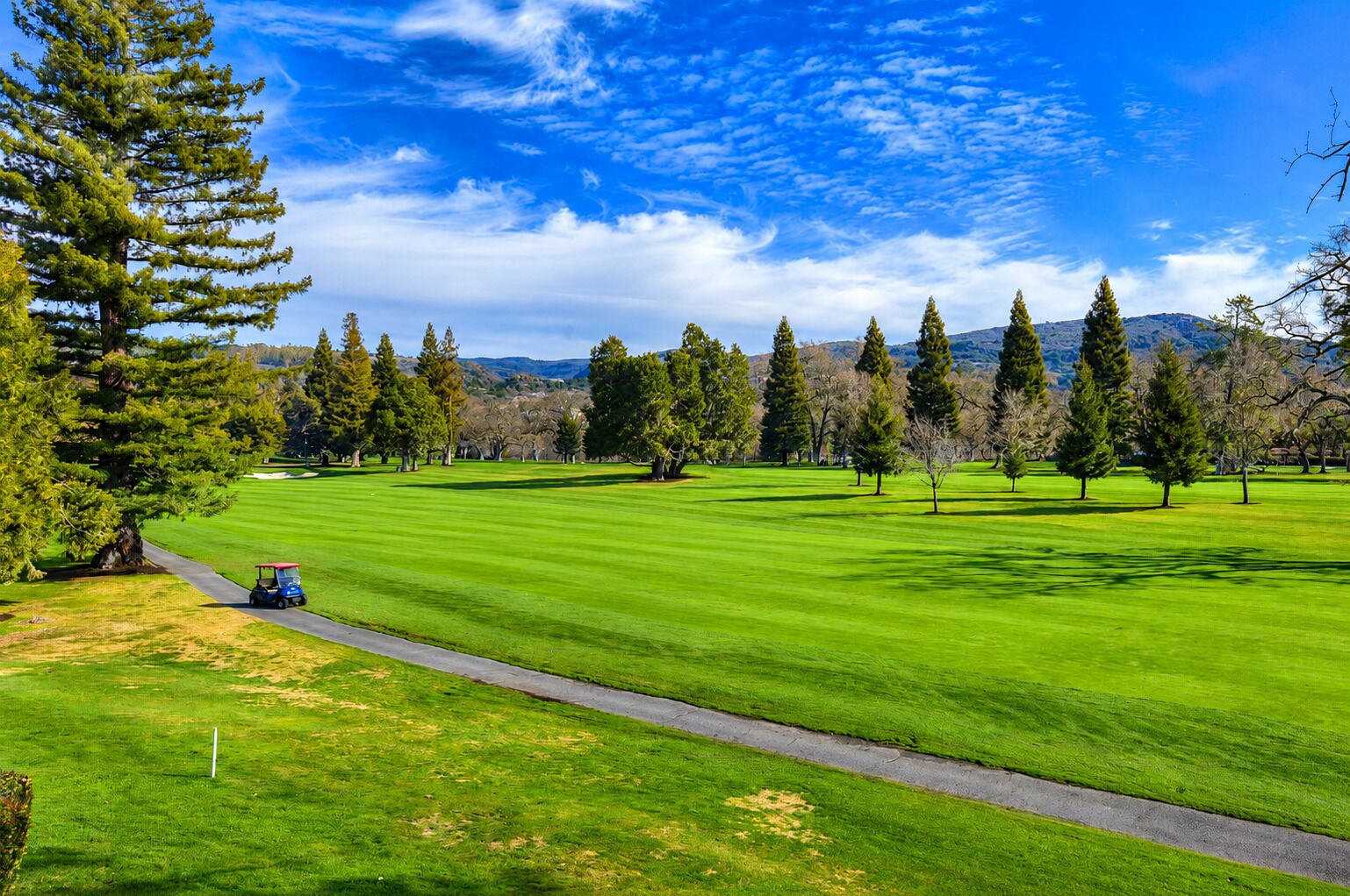 A golf course with a clear sky, a golf cart, and a variety of trees.