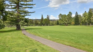 A golf course with a clear path, lush green grass, and a variety of trees.