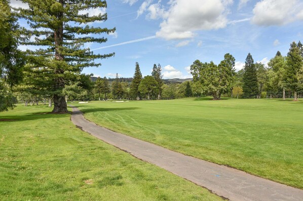 A golf course with a clear path, lush green grass, and a variety of trees.
