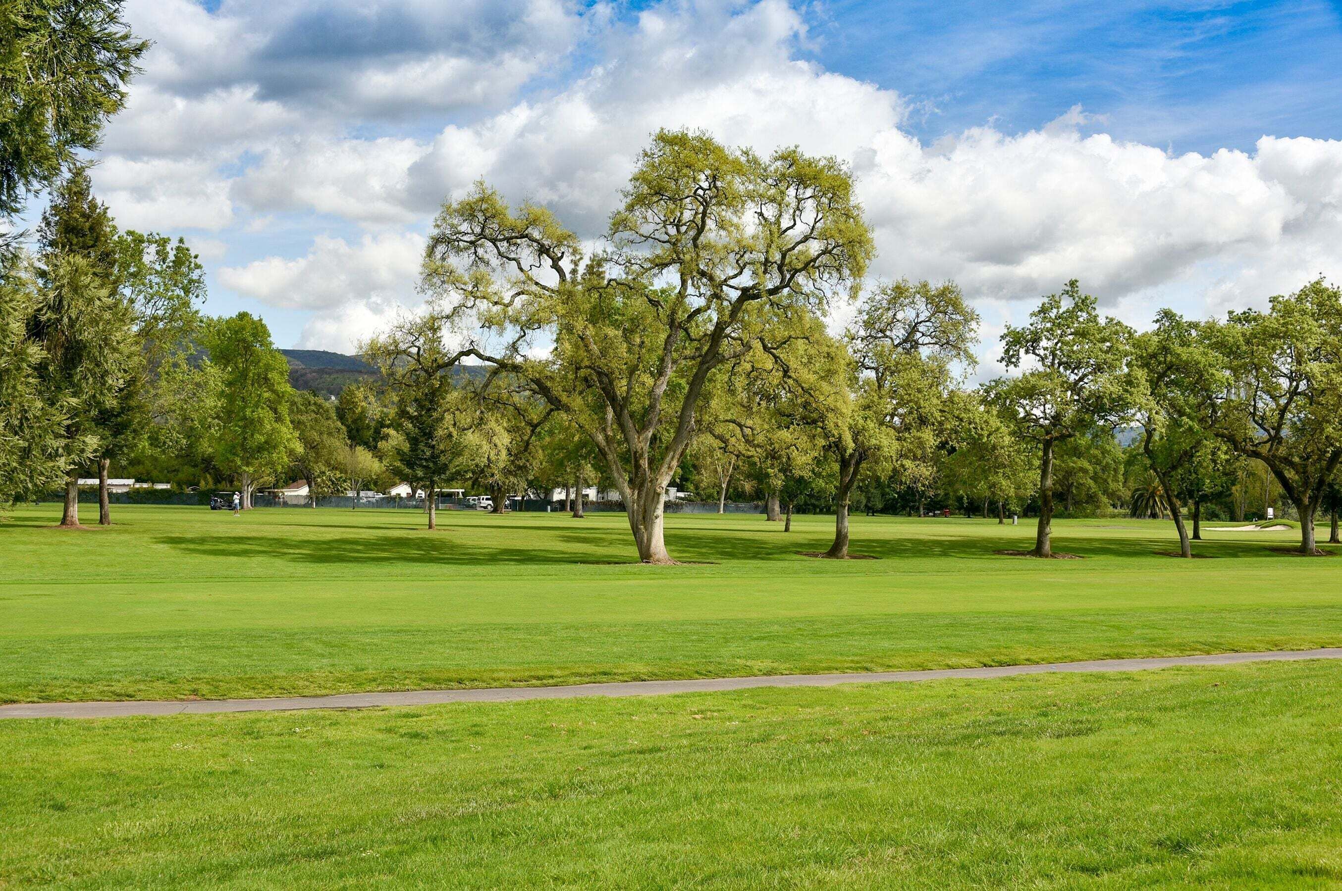 Ein Park mit einer weiten, offenen Rasenfläche, verschiedenen Bäumen und blauem Himmel.