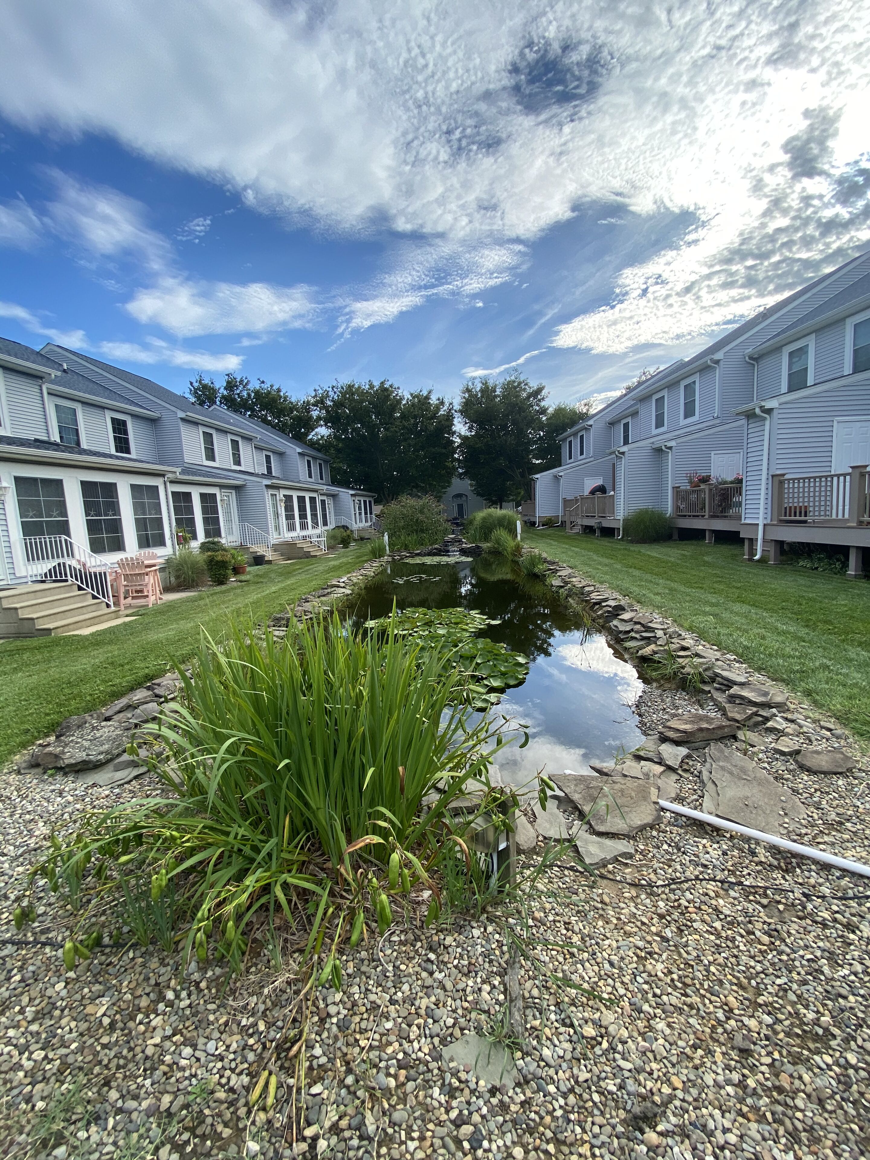 A row of two-story houses with a small pond in the center, surrounded by gravel and plants.