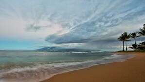 A beach with a sandy shore, palm trees, and a cloudy sky.