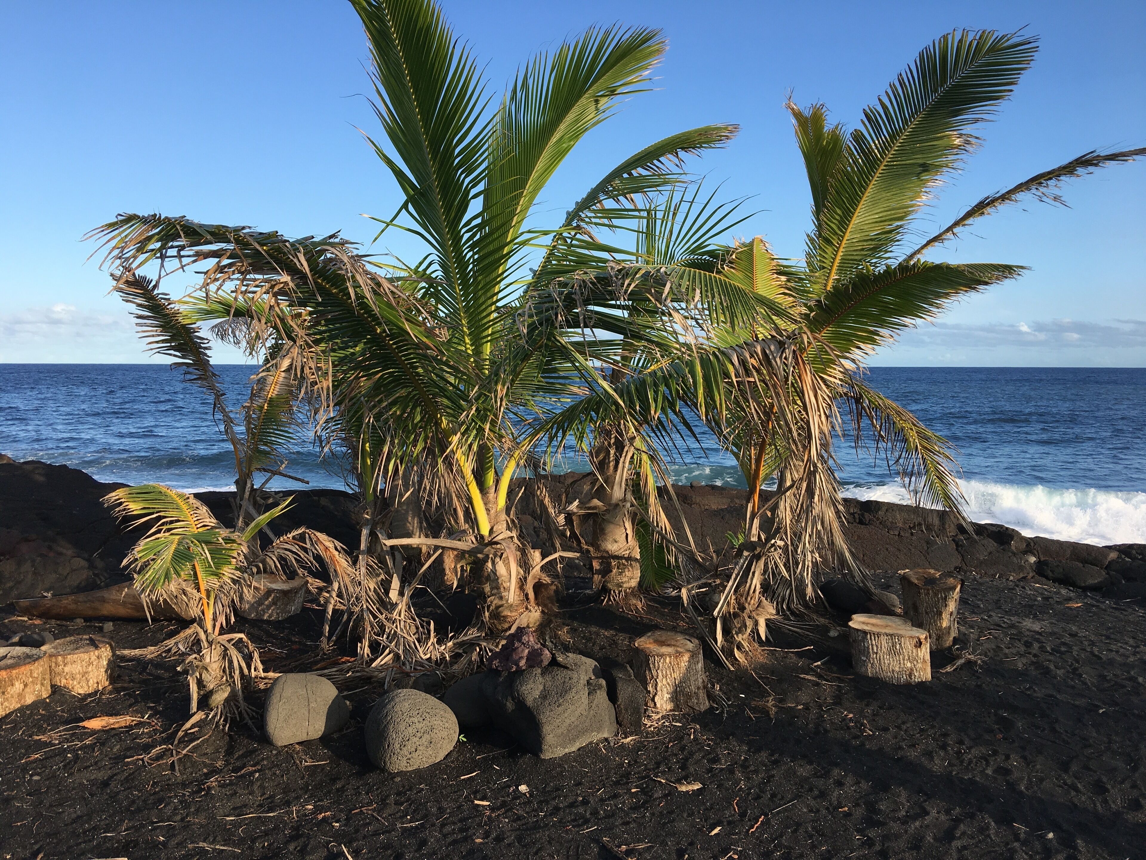 Sun loungers, beach towels