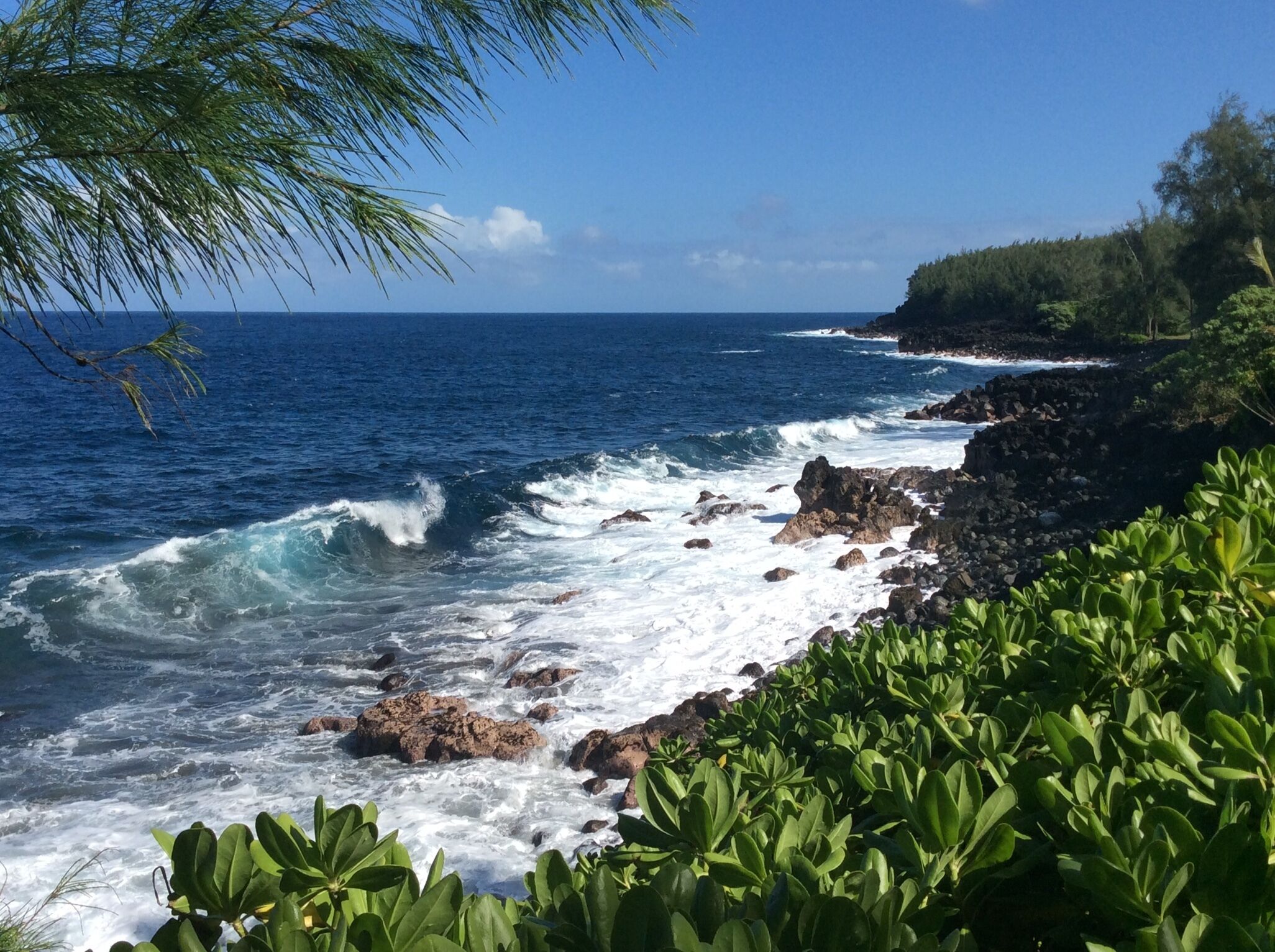 Sun loungers, beach towels