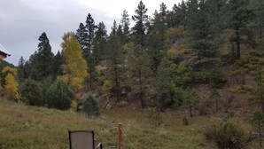 A rustic cabin with a metal roof, surrounded by a grassy area and dense forest. - The smaller version to the Restin' at Weston (weston)