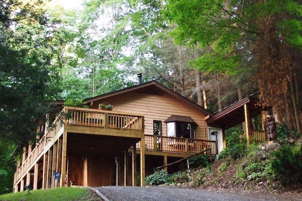 Fern Hill Overlook cabin