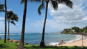 Una playa con palmeras, una zona verde y vista al océano.