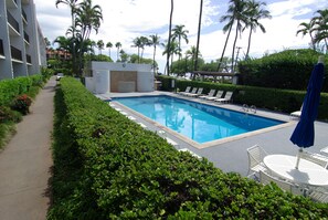 A heated pool - Beautiful, Ground Floor Condo, Steps to the Pool and Beach (Kihei)