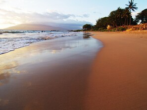 Une plage au rivage incurvé, bordée de palmiers, et un ciel dégagé.