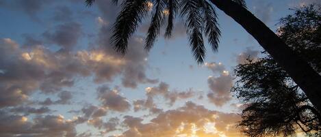 Vista a la playa o al mar