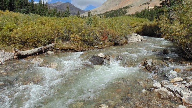 A clear mountain stream with rocks and trees. - Panoramic Views - Dog Friendly - Close to Breckenridge (Alma)