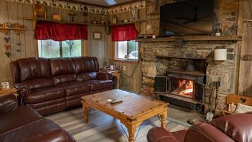 Télévision, cheminée, lecteur de DVD, livres