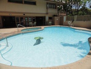 Una piscina al aire libre, una piscina climatizada