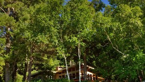 Une cabane en bois, entourée d’une forêt dense, avec un sentier de terre qui y mène.