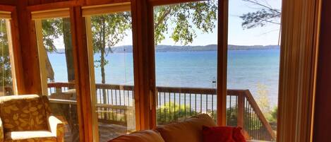 Télévision, cheminée, lecteur de DVD, livres