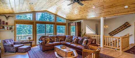 Smart TV, fireplace, DVD player, books