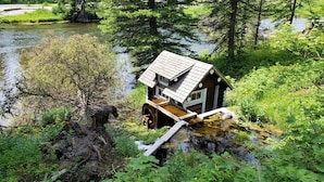 En hytte ved en sø omgivet af tæt skov.