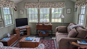 TV, caminetto, lettore DVD, libri