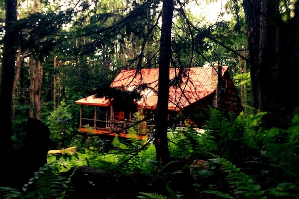 A view from Auskerada Trail. Late Summer