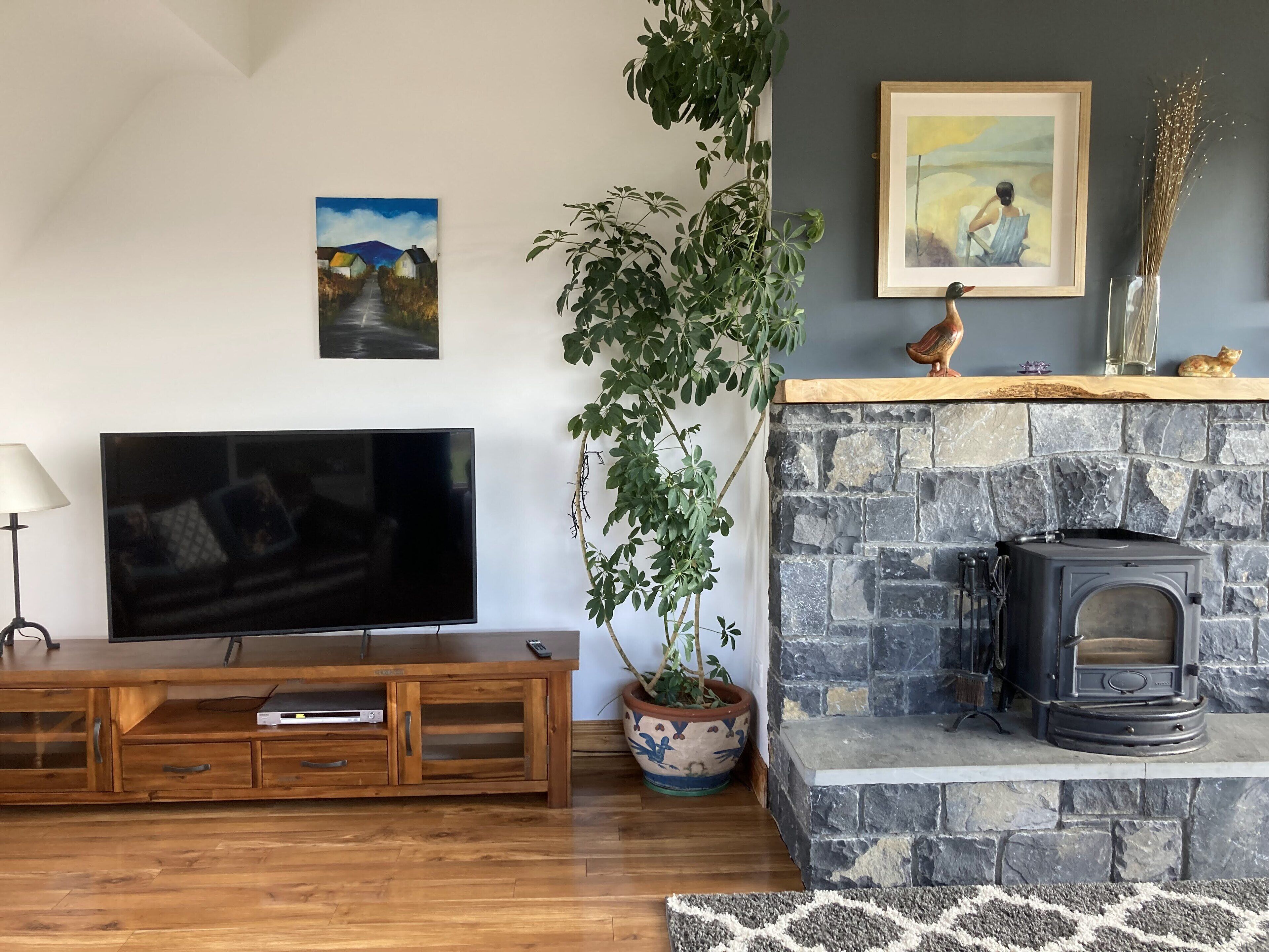 58" TV