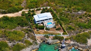 Eine Vogelperspektive eines modernen Hauses mit Schwimmbad, umgeben von dichter Vegetation und einer felsigen Küstenlinie.