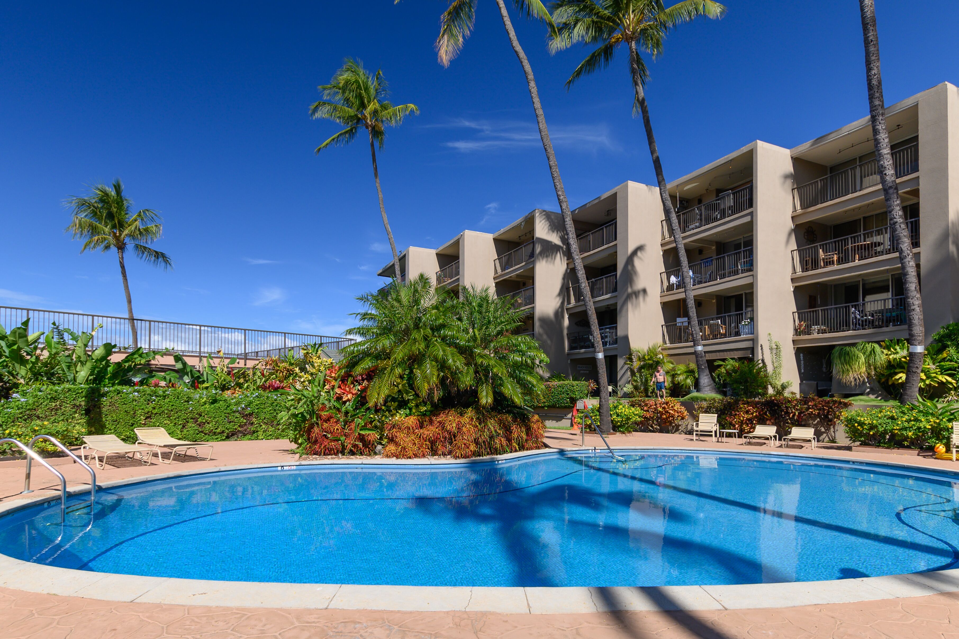 A swimming pool surrounded by palm trees and a multi-story building with balconies.