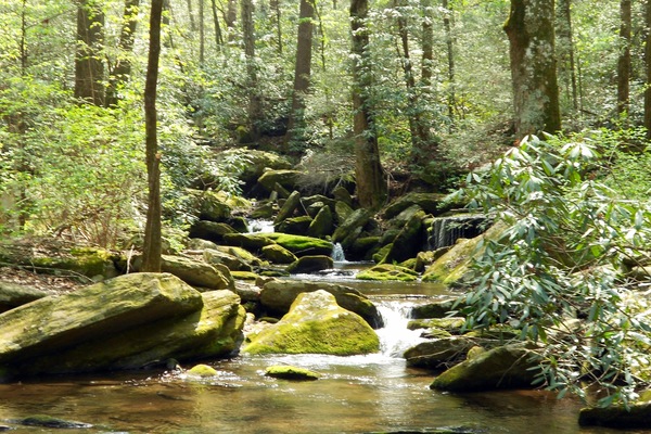 Àrea exterior de l'allotjament