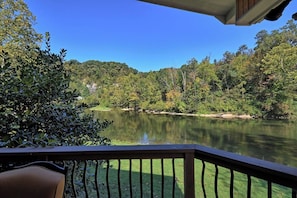 Blick von einer Terrasse auf einen ruhigen Fluss, umgeben von dichtem Wald.