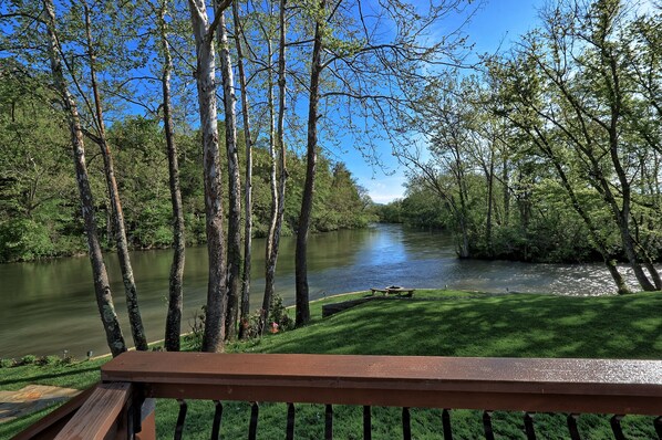 Property grounds - Watauga Riverbend Retreat (Johnson City)